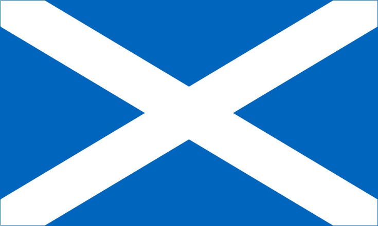 <p>Scotland</p><p>Black and White, Chivas Regal, Cutty Sark, Dewars, Glen Fiddich, J &amp; B, Johnny Walker Red/Black/Gold, Pinch, Passport, Glen Livet, Glen Fiddisch, Grants, Teachers</p>