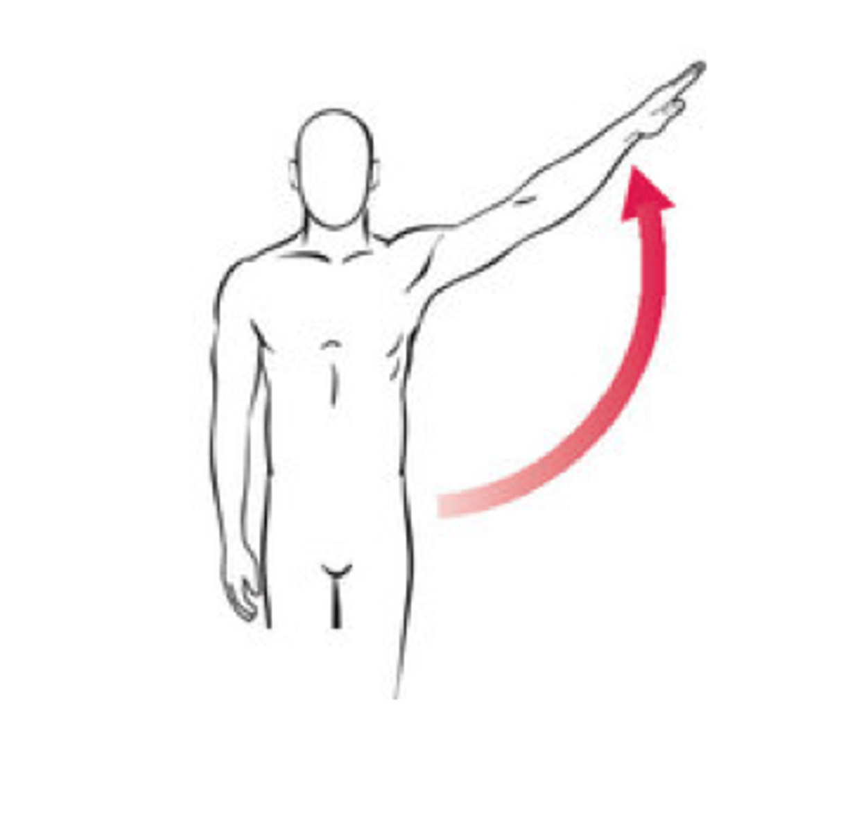 <p>movement of a part away from the central axis of the body</p>