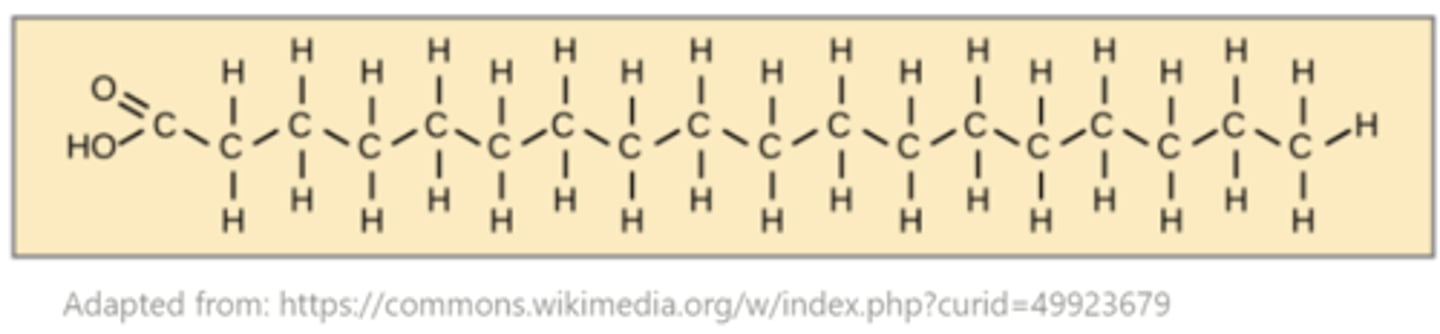 <p>highest; straight</p>
