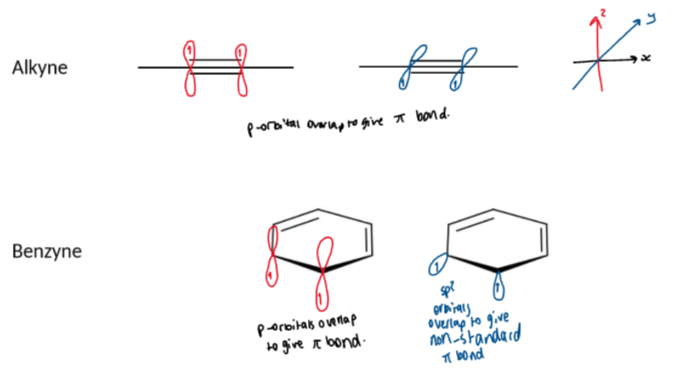 <ul><li><p>alkynes require linear geometry for effective overlap of two orthogonal (perpendicular) pairs of p-orbital (along the y and z axes)</p></li><li><p>as benzyne is a six-membered ring the triple bond is not like normal linear alkynes - the extra pi bond comes from electrons in sp<sup>2</sup> hybridised orbitals</p></li><li><p>benzyne has a low energy LUMO making it reactive to nucleophiles</p></li></ul><p></p>