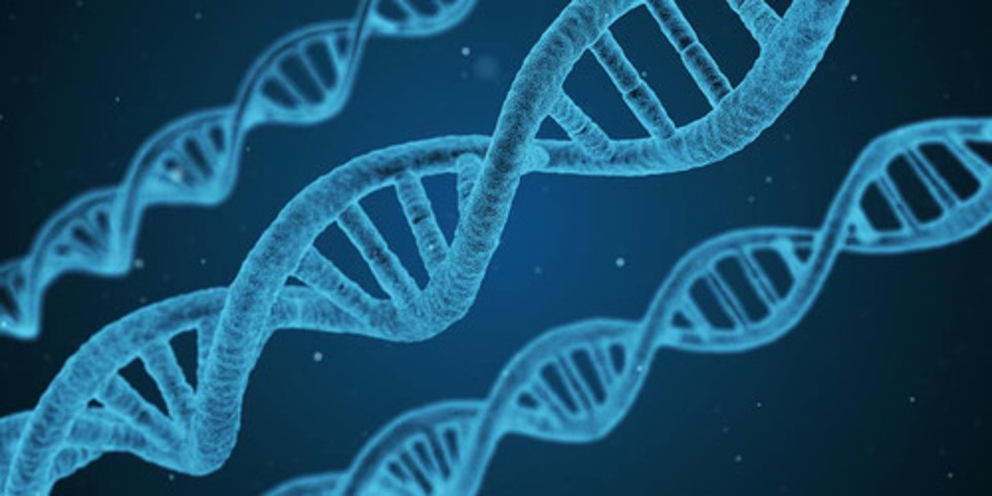 <p>A biological tendency to develop a particular behaviour as a result of the genes someone has.</p>
