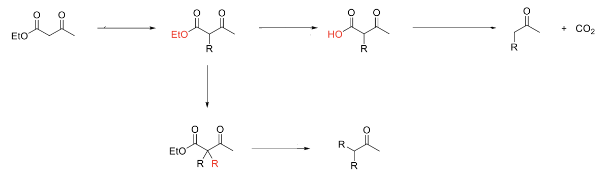 <p>Acetoacetic Ester Synthesis</p>