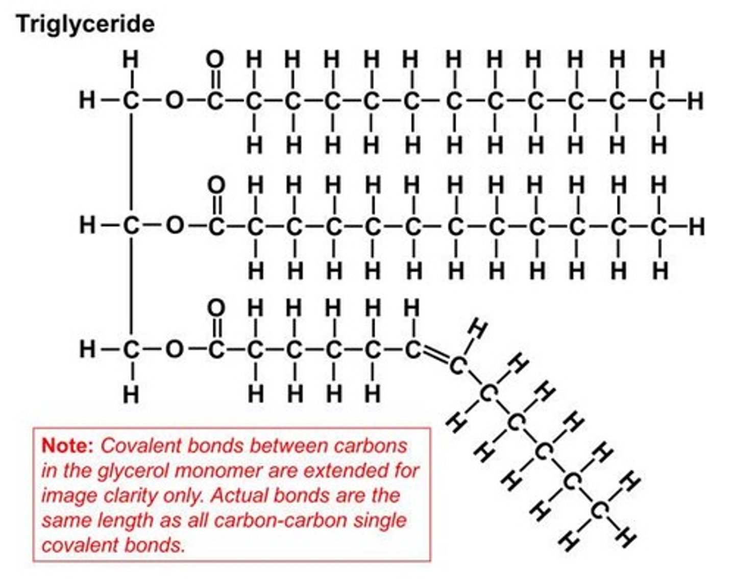 <p>Saturated fats are solid at room temperature with single bonds in fatty acids, while unsaturated fats are liquid at room temperature with at least one double or triple bond.</p>