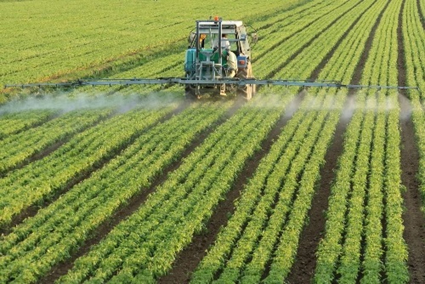 <p>The farming systems that include the use of synthetic chemical fertilizers, pesticides, herbicides, other continual inputs, mechanization, and genetically modified organisms.</p>