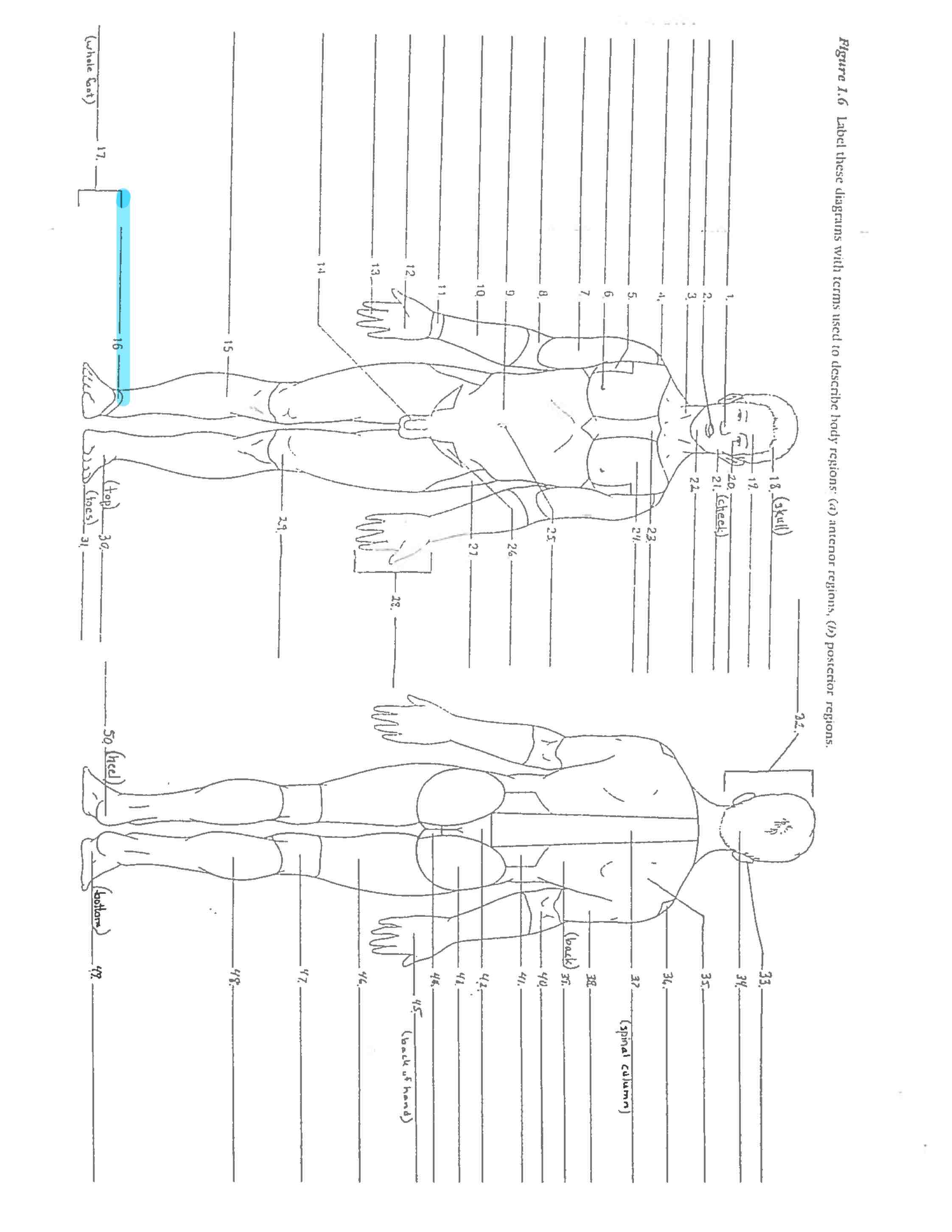 <p>Line 16 </p>