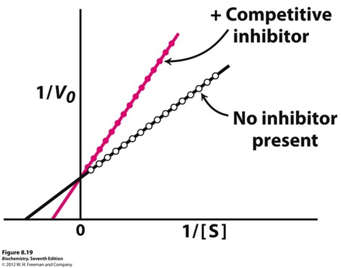 <p>The Lineweaver-Burke plot for a competitive inhibitor will have the same y-intercept as the uninhibited enzyme, but a less negative x-intercept.</p><p>This illustrates that the Km increased, but the Vmax did not change.</p>