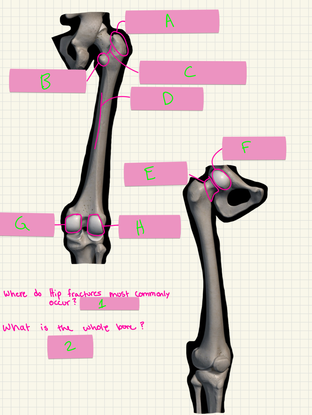 <p>What’s 1-2?</p>