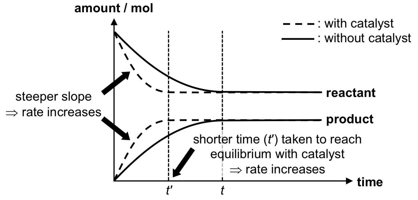 <p>→ A catalyst lowers the activation energy (Ea) of the forward and backward reactions by the same extent. The rate constant of the forward and backward reactions will be increased by the same extent (hence catalyst does not impact Kc or Kp). </p><p>→ Catalyst increases the rate of both forward and backward reactions by the same extent.</p><p>→ Presence of catalyst does not affect POE as system merely reaches equilibrium faster.</p>