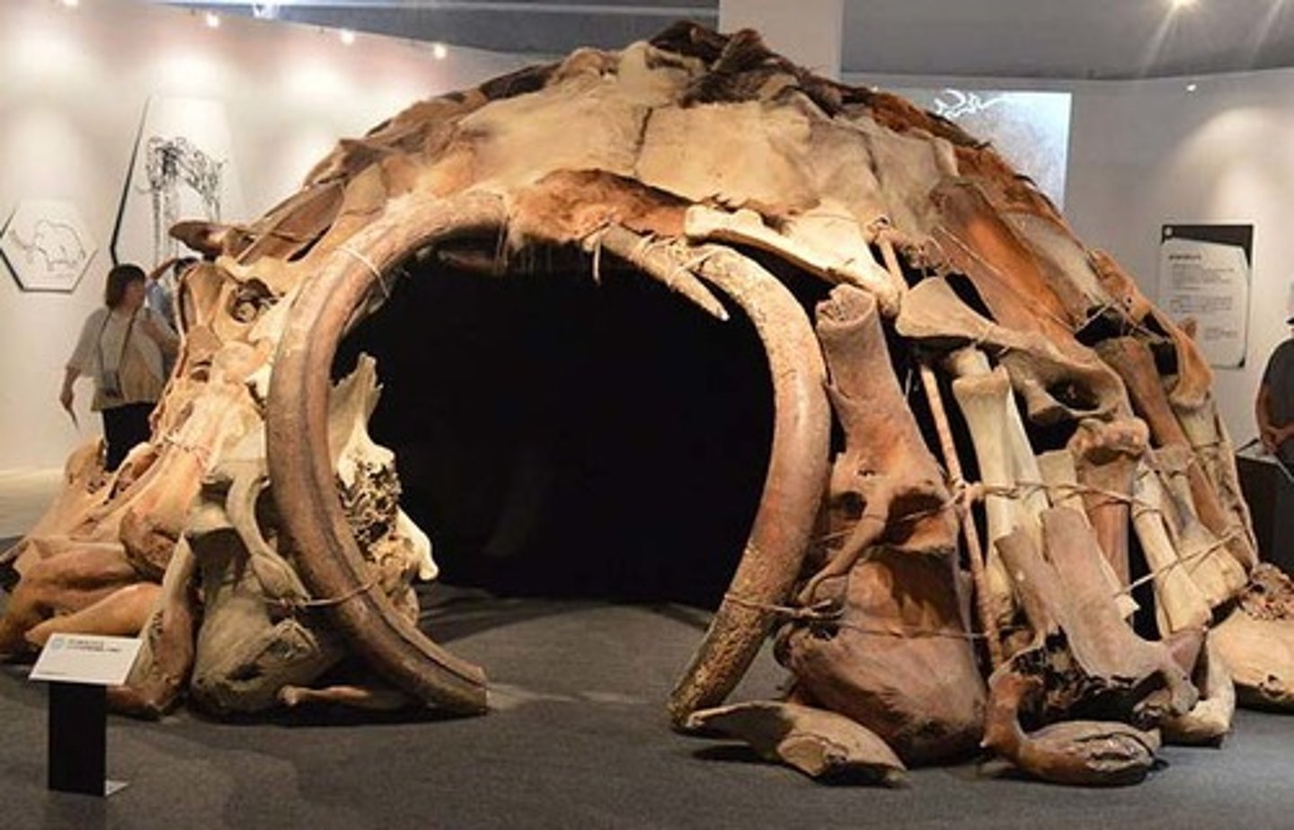 <p>15,000 BCE, Mezhirich, Ukraine. connection between function and material choice. curves tusks were used for entrances, bigger bones were on the bottom, smaller bones on top, skin used ontop</p>