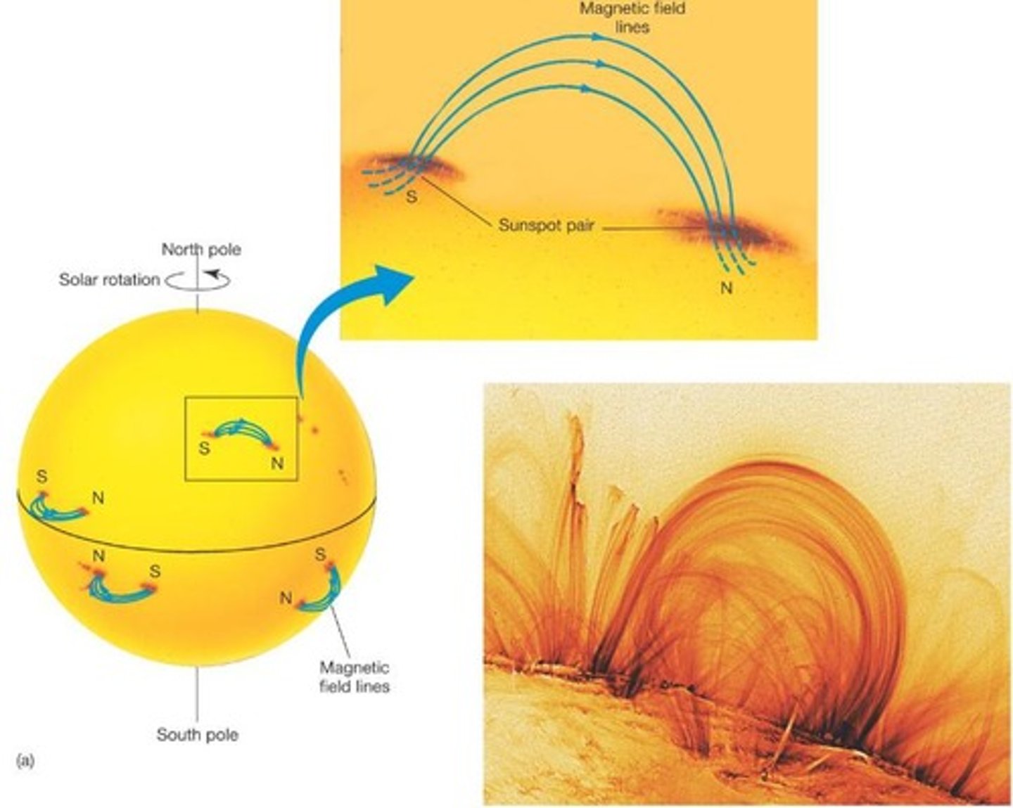 <p>Large outflows of solar material associated with flares.</p>