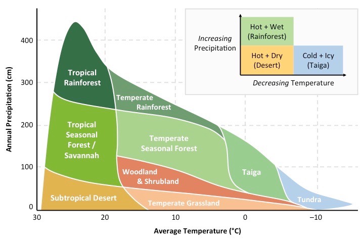 <p>A <strong>climograph</strong> is a graphical representation of basic climatic parameters at a given geographical location. </p><p><strong>Whittaker’s climograph</strong> predicts the terrestrial biome in a location according to mean <span style="color: blue">temperatures</span> and mean <span style="color: blue">precipitation</span>. </p>