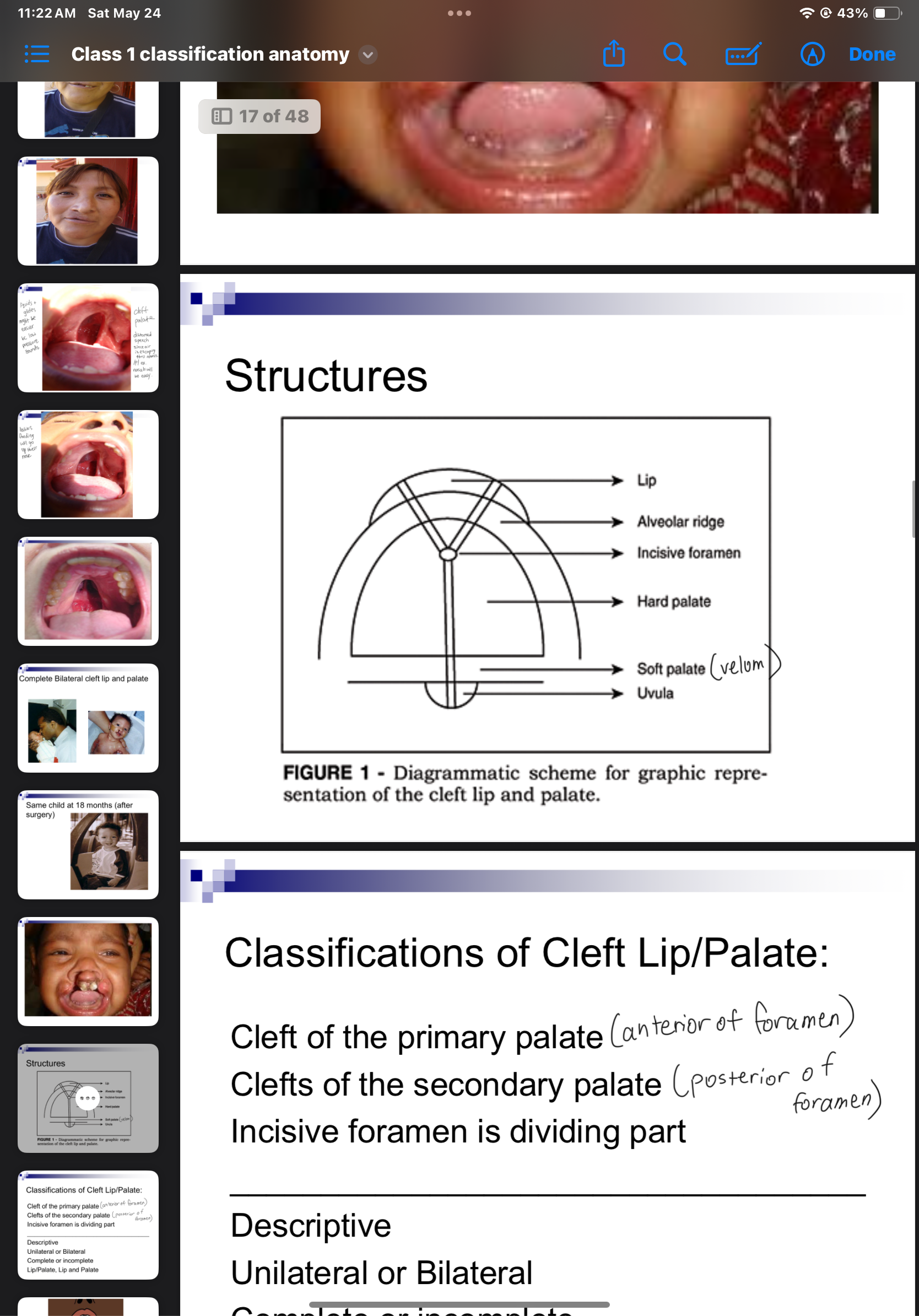 knowt flashcard image
