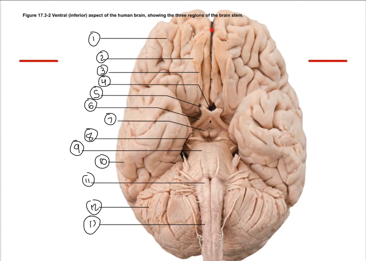 <p>Name 10</p>