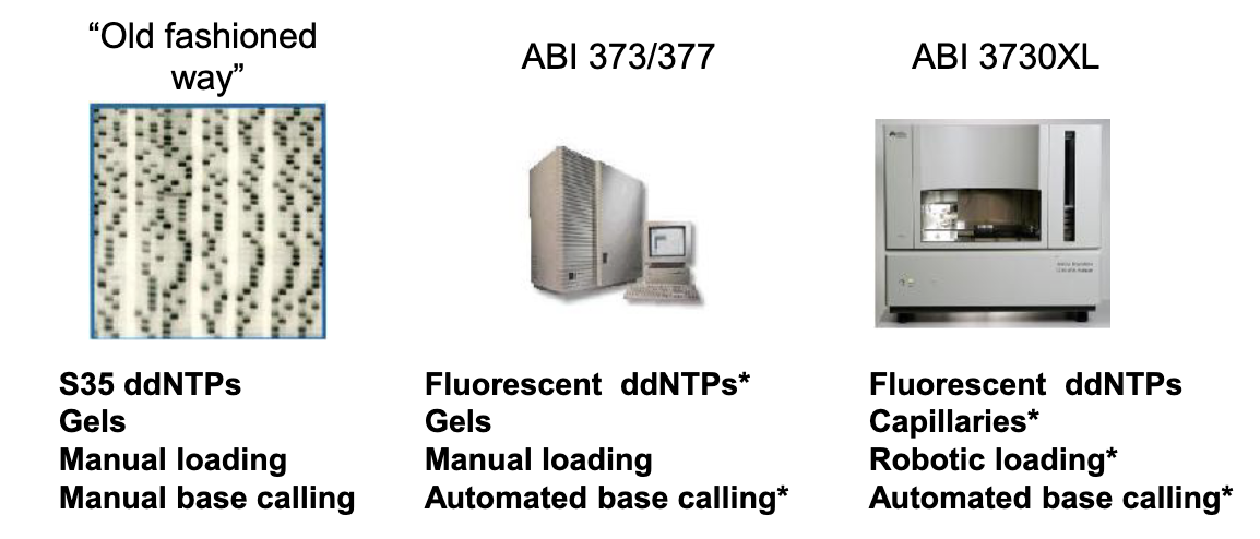 <ul><li><p>all based electrophoresis, one sequence per lane capillary</p></li></ul><p></p>