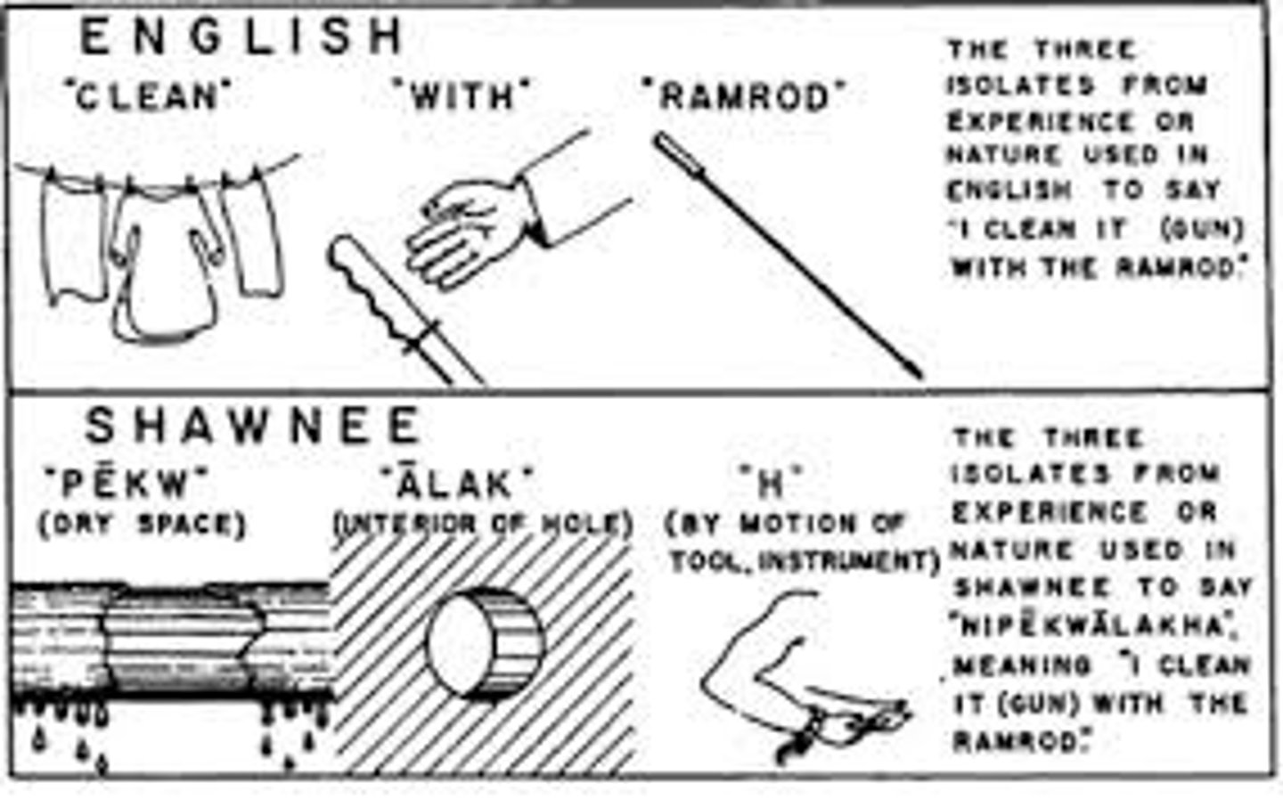 <p>Whorf's hypothesis that language determines the way we think.</p>