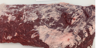 <p><span>Obliquus abdominus</span></p>