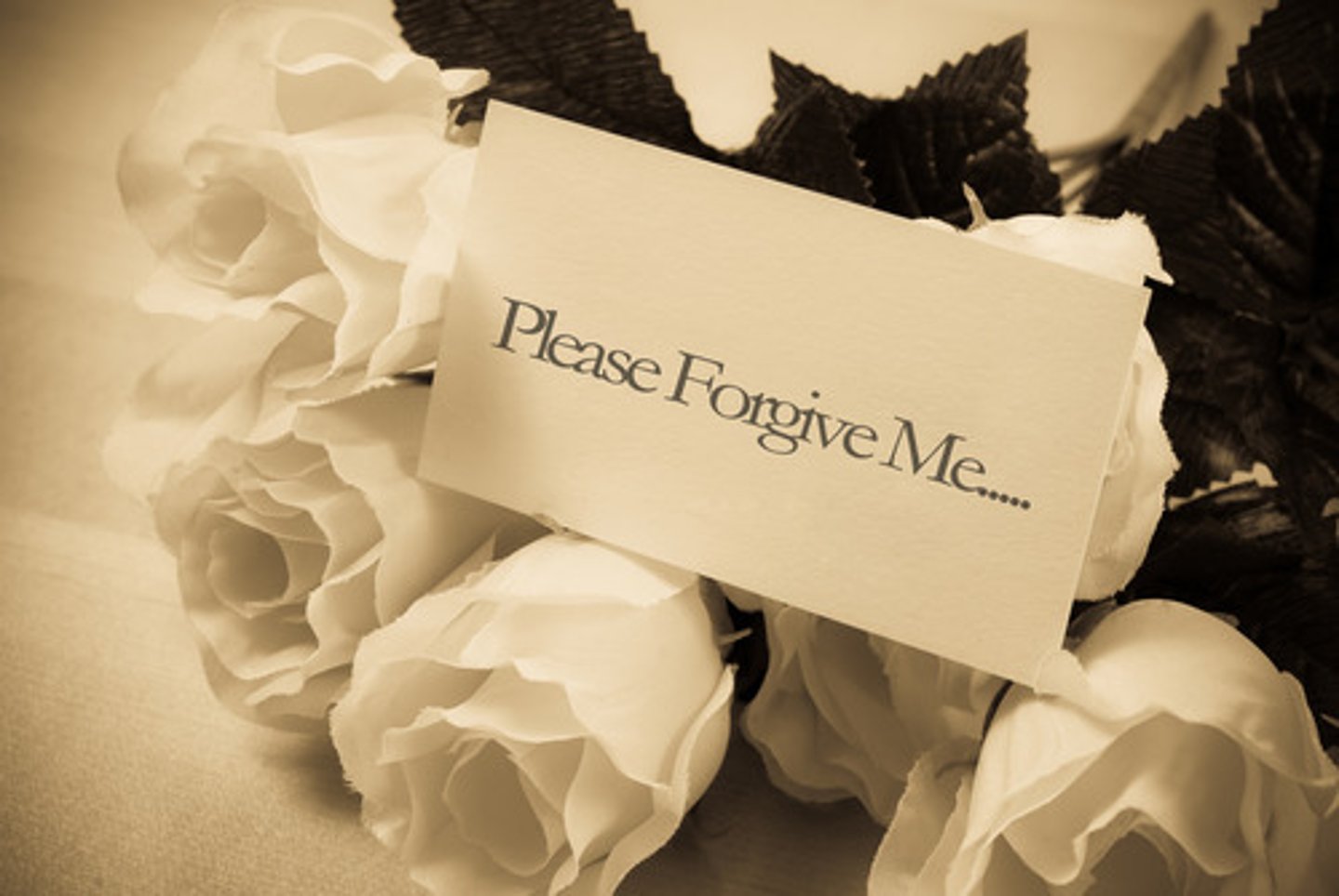 <p>to forgive</p>