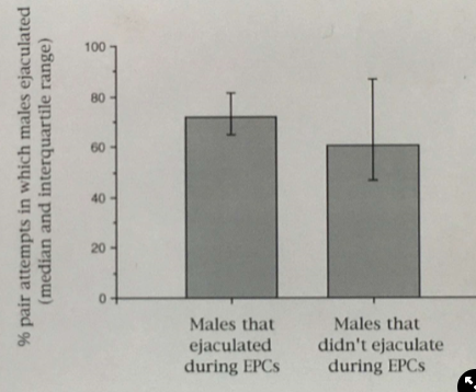 <ul><li><p>predict→ if males run out sperm, males that ejaculate during an EPC should have less ejaculate left for their paired females:<img src="https://knowt-user-attachments.s3.amazonaws.com/7bed09d2-dfc1-4e6f-a9fc-cfc77ab9076f.png" width="347" height="226.1875"></p></li><li><p><span>results→ there is no difference between ejaculates left for paired females in males that do EPCs and males that do not do EPCs</span></p><p><strong>→ males just withhold sperm</strong></p></li></ul>