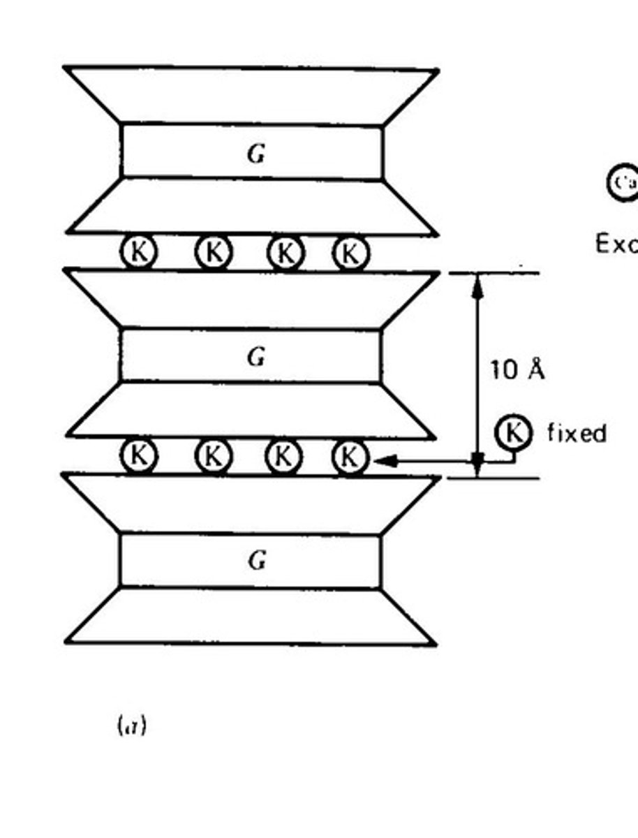 <p>It can hold more water than its volume and has negative charges due to isomorphous substitution.</p>