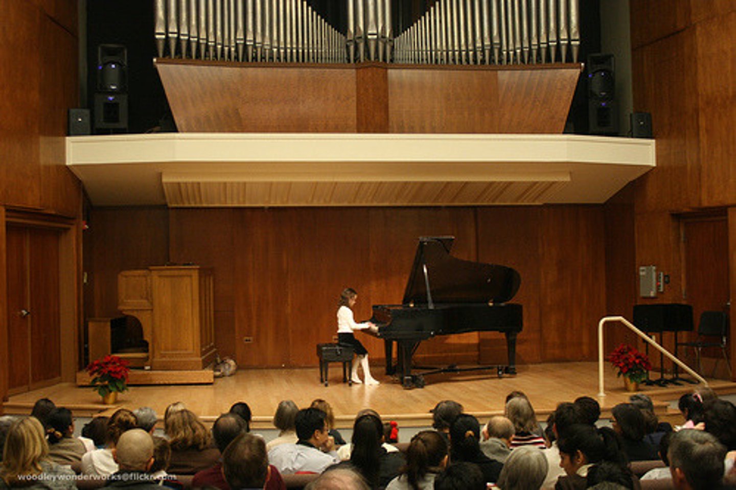 <p>a performance of music, dance, or poetry, often by a single performer (formal)</p><p>Collocates: piano ~ / poetry ~ / give a ~</p><p>-The pianist gave a ~ of Chopin's works to a rapt audience.</p><p>-She was invited to perform at a poetry ~ in Paris.</p><p>-His first public ~ revealed a rare talent.</p>