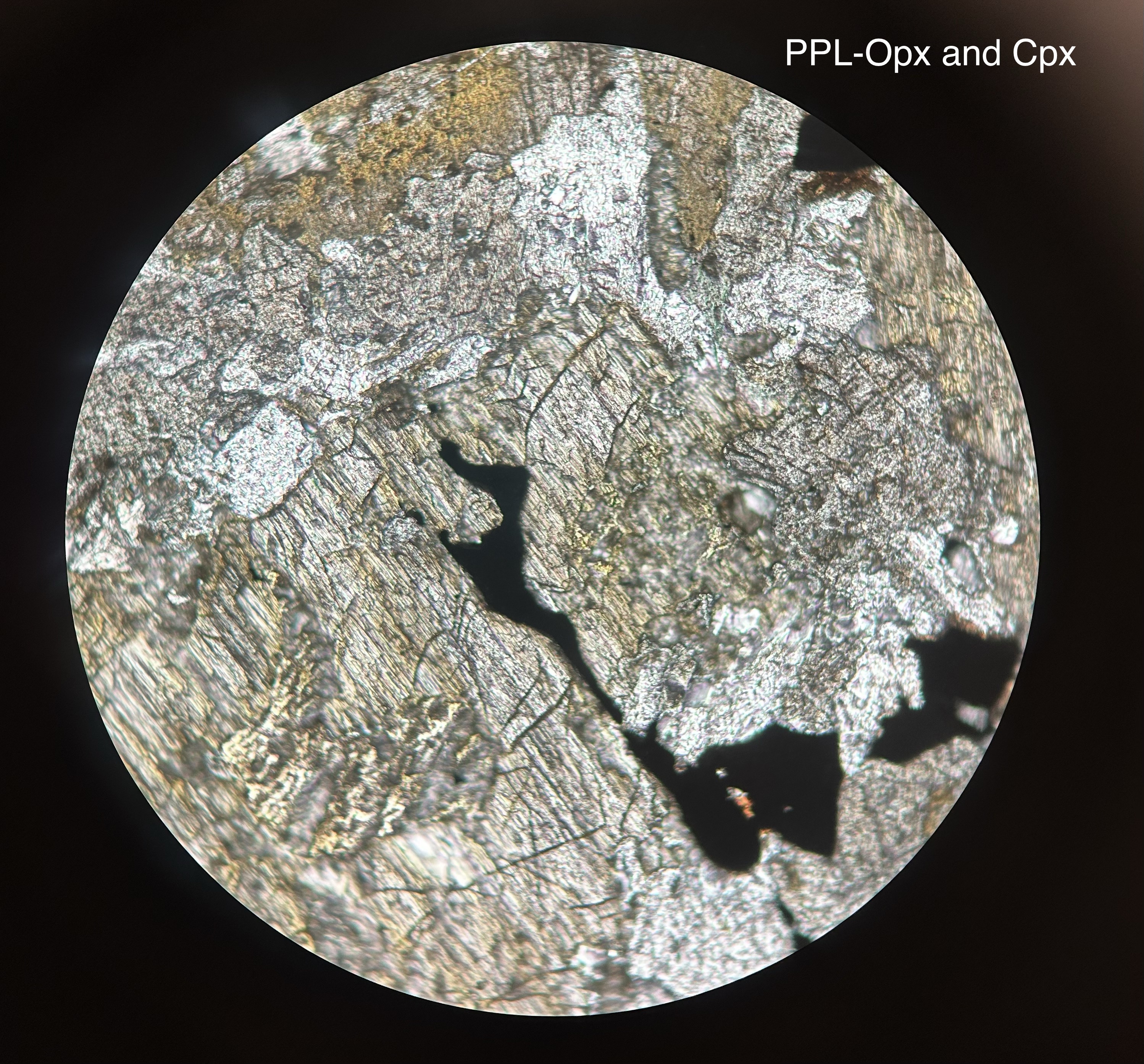 <p>pyroxenes under the microscope </p>