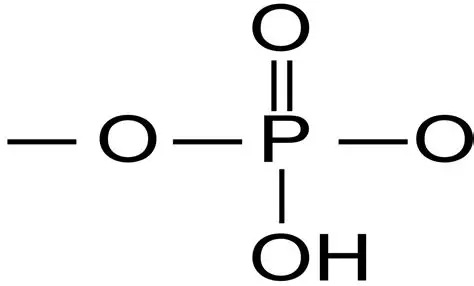 <p>-OPO<sub>3</sub>H<sub>2</sub></p>