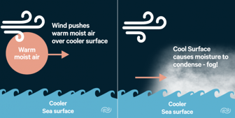 <p>Occurs when the wind pushes warm, moist air over a cooler sea surface which causes the sea surface to cool the air directly above it causing condensation of water vapor to fog.</p>
