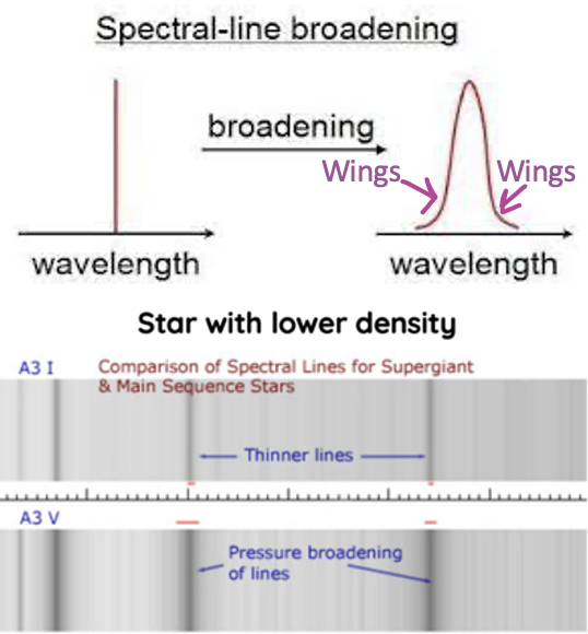 <p>Density – how tightly compact the atoms are together</p><ul><li><p>Density / pressure = impacts breadth of spectral lines</p><ul><li><p>Greater density = broader/blurrier absorption lines</p></li><li><p>Lower density = thinner absorption lines</p></li></ul></li></ul><p>Higher density surface of star</p><p>= Increased gas pressure</p><p>= More rapid collision between atoms</p><p>= More exchanges of energy</p><p>= More variety of energy levels  some electrons gain some energy from collisions, but some lose energy</p><p>= Creates wings on the spectrum that extend out farther from the centre of the line, but the intensity stays the same</p><p>= Means that the lines are not as clear/defined and smooth</p><p></p>