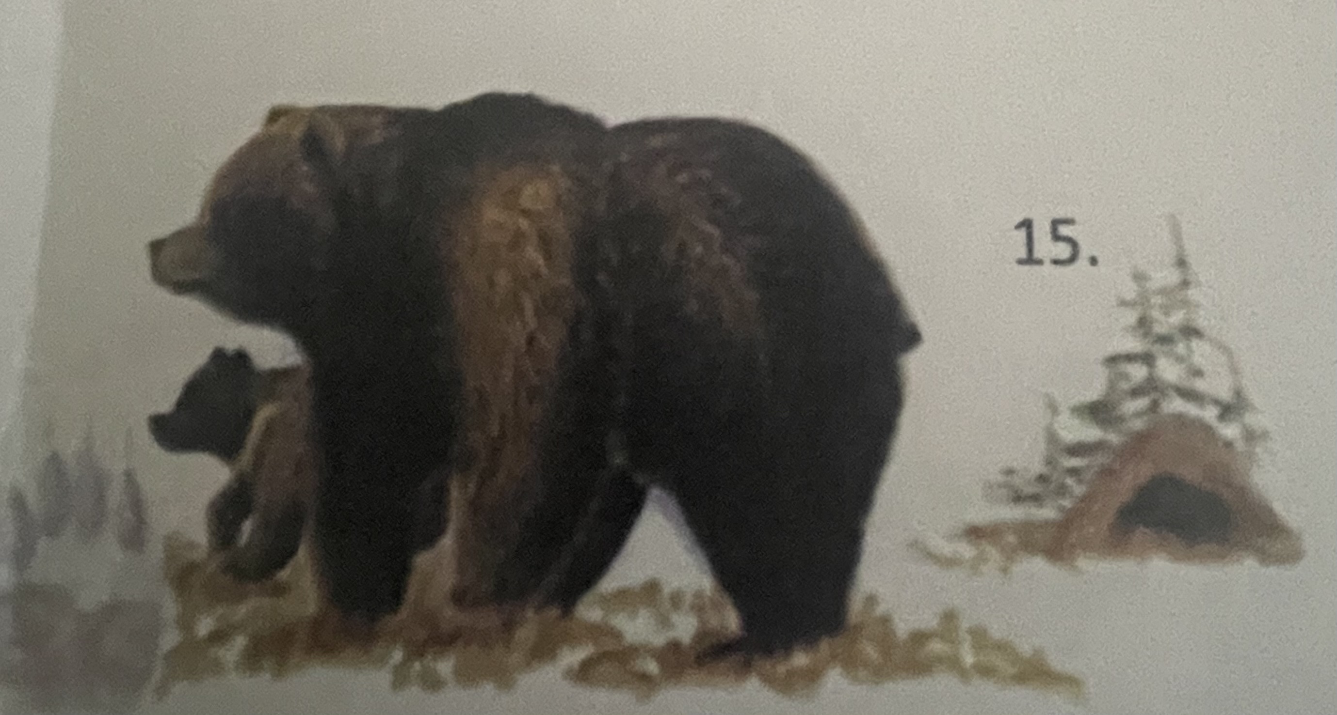 <p>mikä eläin</p>