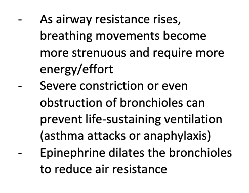 F = ΔP/R ; where ΔP is the pressure gradient between the atmosphere and alveoli (usually 2 mmHg or less)