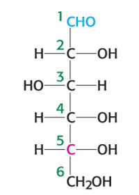<p>What is the name of the sugar depicted in the image?</p>