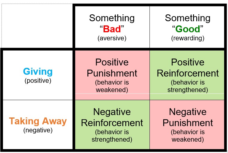 <p>Learning in which people are more likely to repeat behaviors that have been rewarded and less likely to repeat behaviors that have been punished.</p>