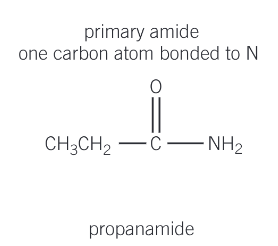 <p>one carbon atom bonded to N</p>