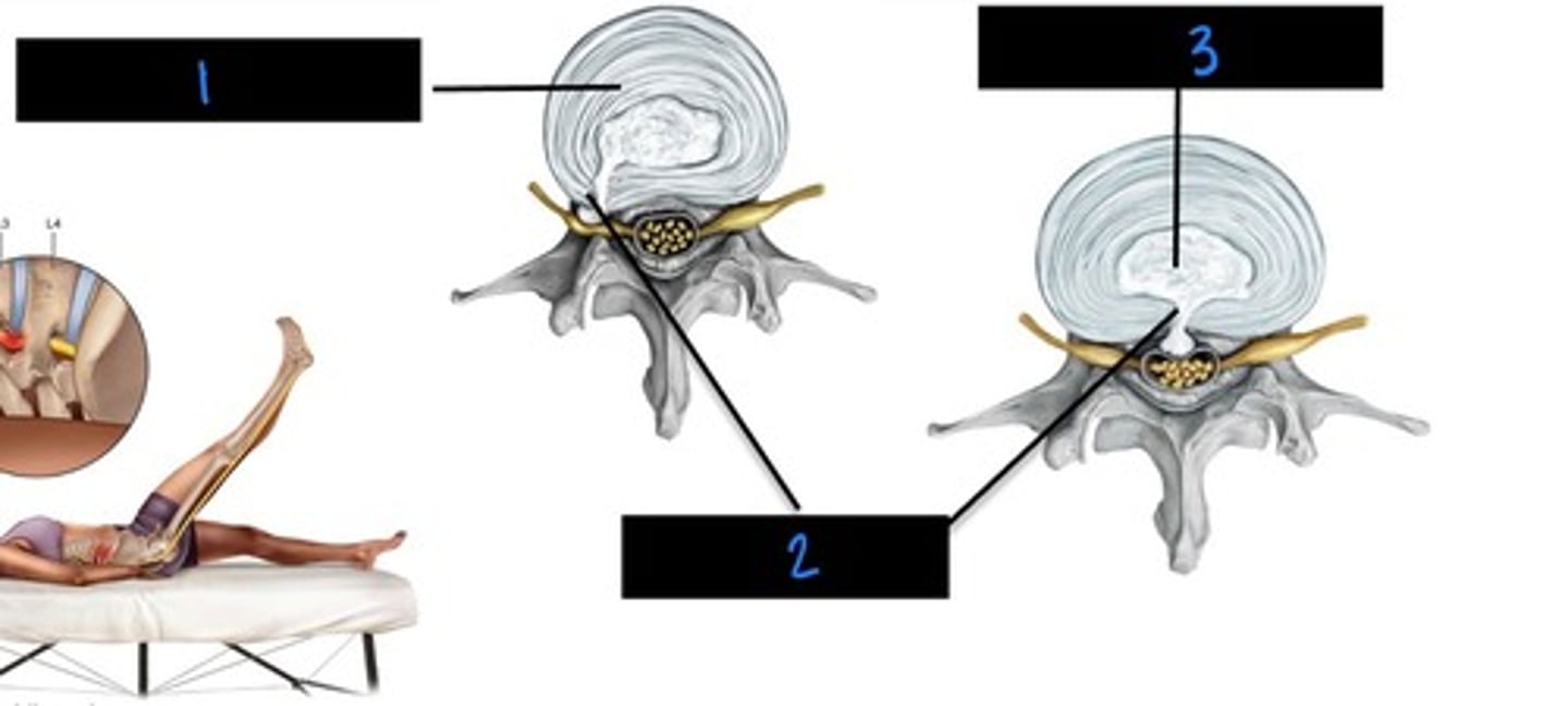 <p>what is image 3?</p>