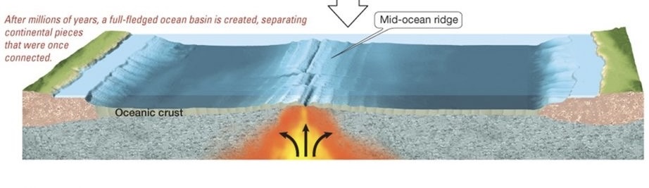 <p>in a mid-ocean ridge (spreading center), molten rock arises from the mantle and forms new oceanic crust. this then moves apart, allowing newer oceanic crust to be formed</p>