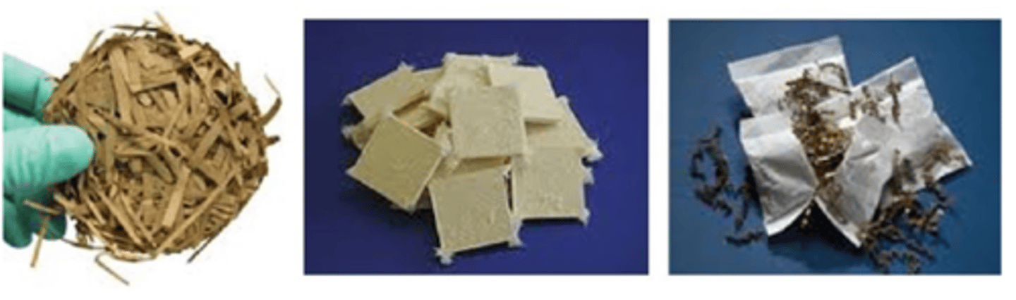 <p>The depicted nesting/burrowing enrichment materials would NOT be suitable for which species?</p><p>A. Mouse (𝘔𝘶𝘴 𝘮𝘶𝘴𝘤𝘶𝘭𝘶𝘴)</p><p>B. Rat (𝘙𝘢𝘵𝘵𝘶𝘴 𝘯𝘰𝘳𝘷𝘦𝘨𝘪𝘤𝘶𝘴)</p><p>C. Guinea pig (𝘊𝘢𝘷𝘪𝘢 𝘱𝘰𝘳𝘤𝘦𝘭𝘭𝘶𝘴)</p><p>D. Syrian hamster (𝘔𝘦𝘴𝘰𝘤𝘳𝘪𝘤𝘦𝘵𝘶𝘴 𝘢𝘶𝘳𝘢𝘵𝘶𝘴)</p>