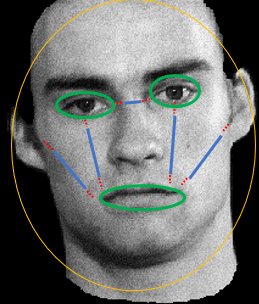 <ul><li><p>identifying individual features of the face as if they were separate </p></li></ul><p></p>