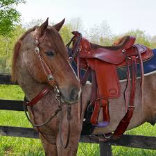 <p>A seat for a rider on a horse's back. </p>