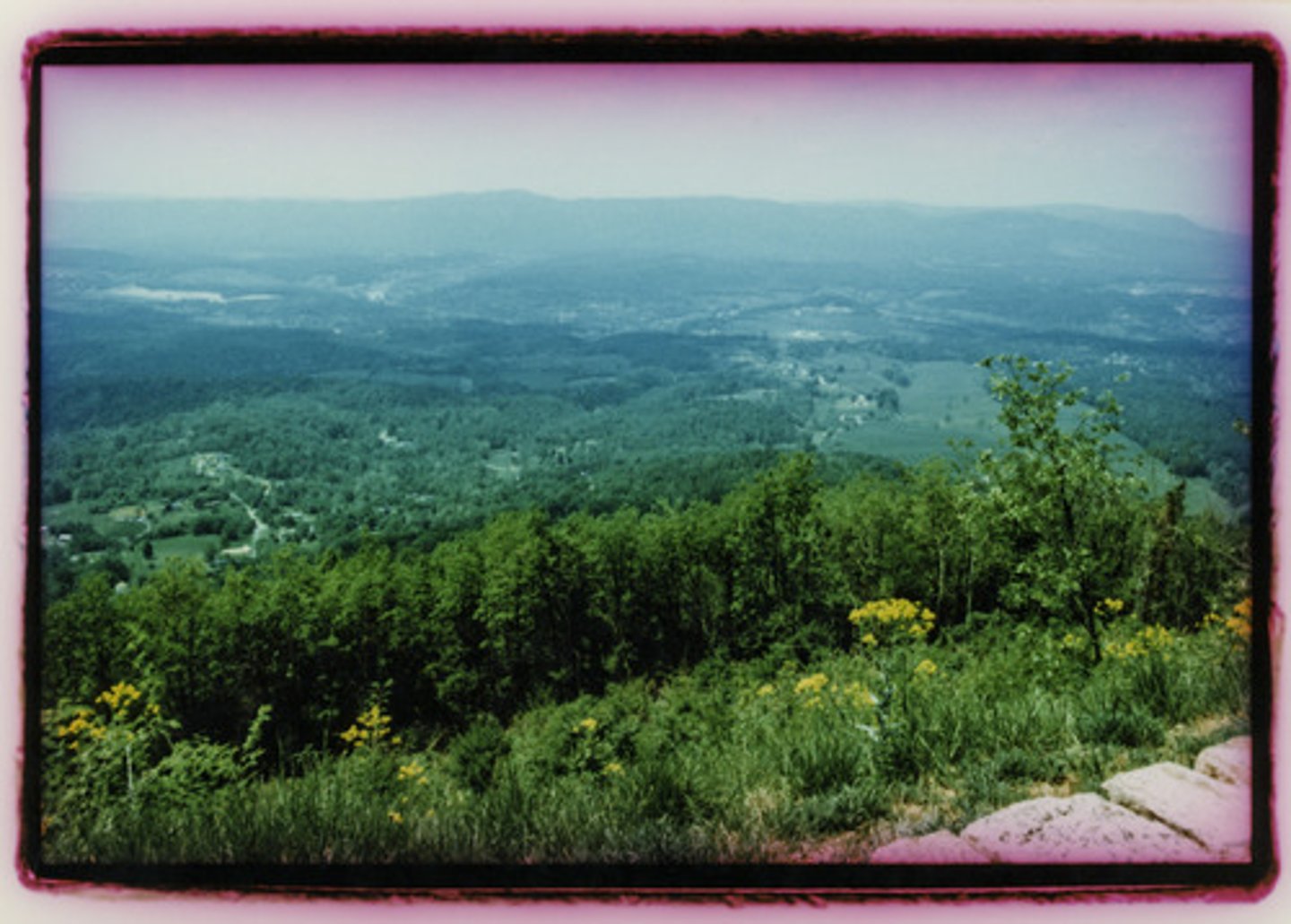 <p>Virginia</p>