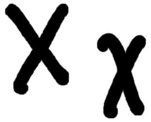<p>Χ χ</p>