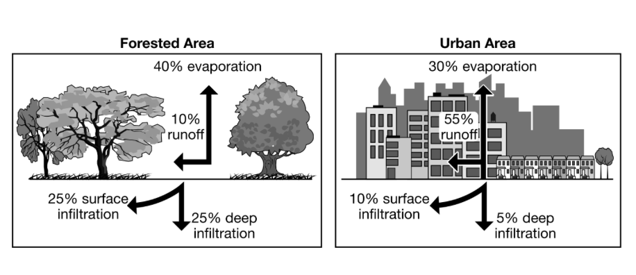 <p>Which of the following processes shown in the diagram leads to precipitation?</p>