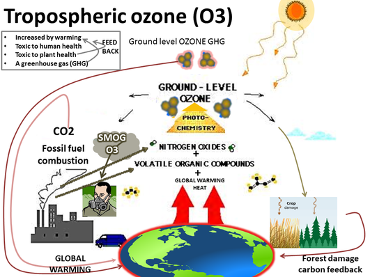 Fig. 6 Tropospheric ozone O3