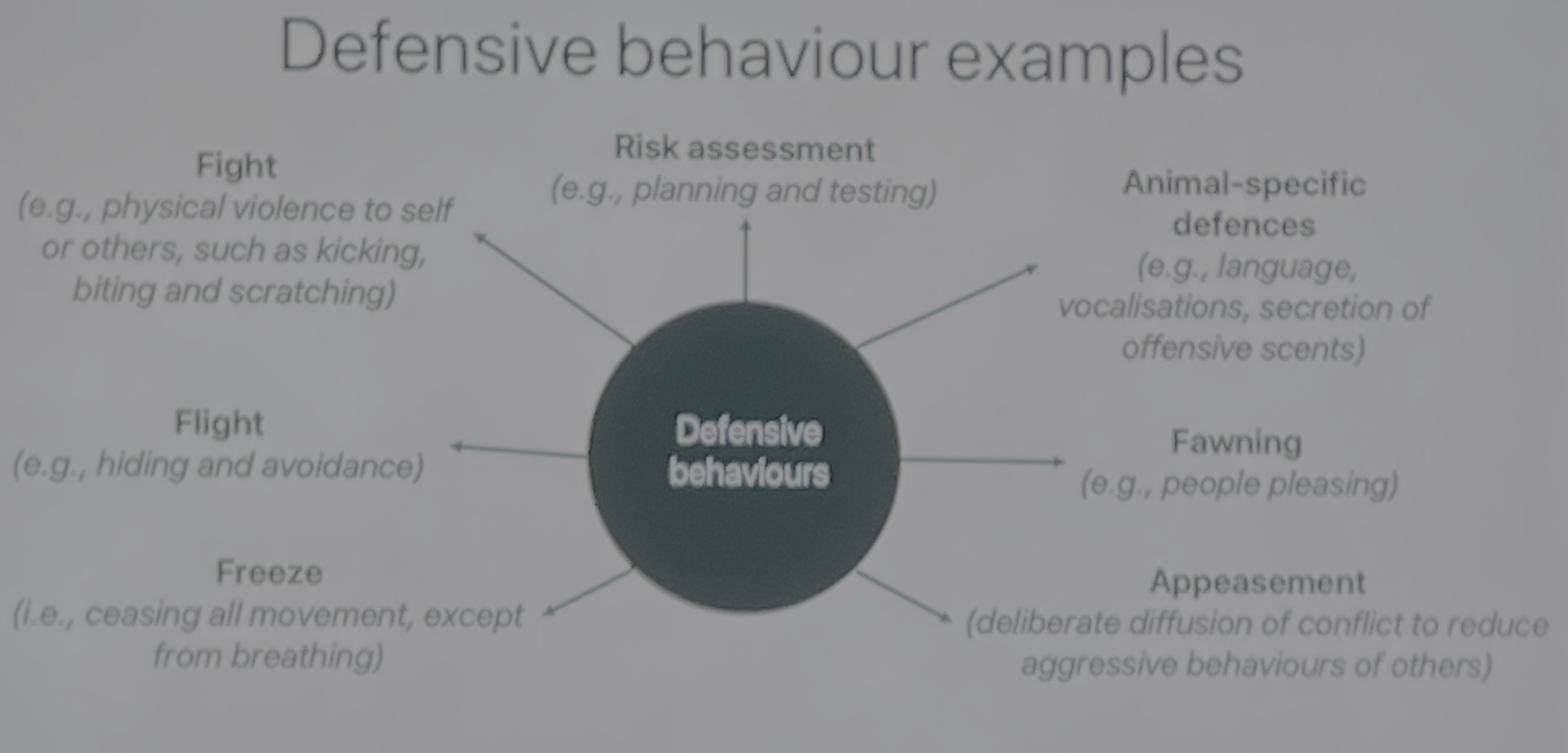<p><mark data-color="yellow" style="background-color: yellow; color: inherit;">fear:</mark> response to present and immediate threat</p><p><mark data-color="yellow" style="background-color: yellow; color: inherit;">anxiety:</mark> response to a potential or imagined threat </p><p><mark data-color="yellow" style="background-color: yellow; color: inherit;">defensive behaviours:</mark> A range of behaviours motivated by the need to avoid or minimise harm caused from real (or imagined) threats</p><ul><li><p><span><span>Set of behaviours conserved throughout evolution (e.g. the ss)</span></span></p></li><li><p><span><span>Other emotions also have these defensive behaviours</span></span></p></li></ul><p></p><p>defensive behaviours link to predation </p><ul><li><p><span><span>predation is a key threat to survival</span></span></p></li><li><p><span><span>adaptation for flexible defensive behaviours</span></span></p></li><li><p><span><span>prey animals provide plenty of insight into fear</span></span></p></li></ul><p></p>