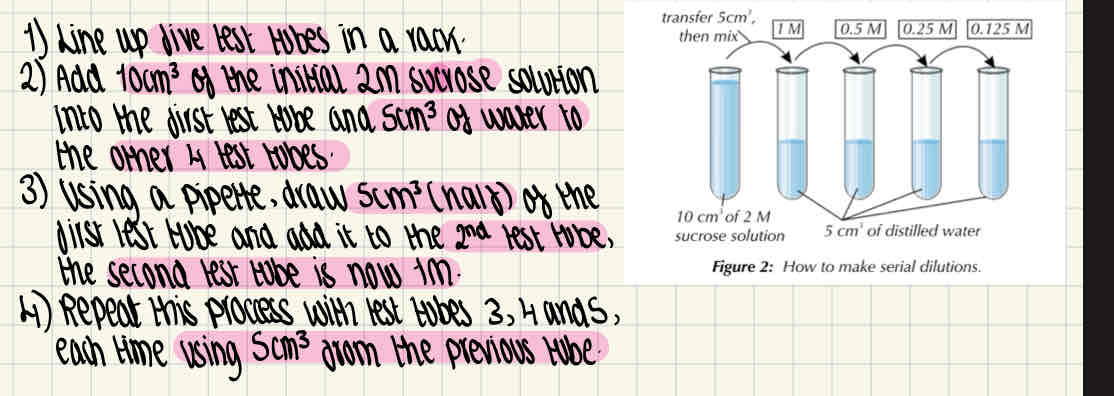 knowt flashcard image