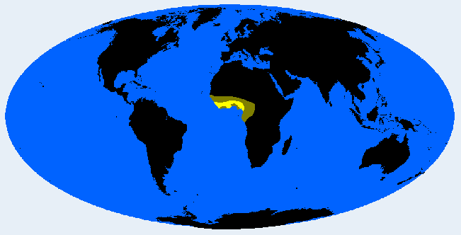 <p>Guineo Camerunian (Congolid)</p>