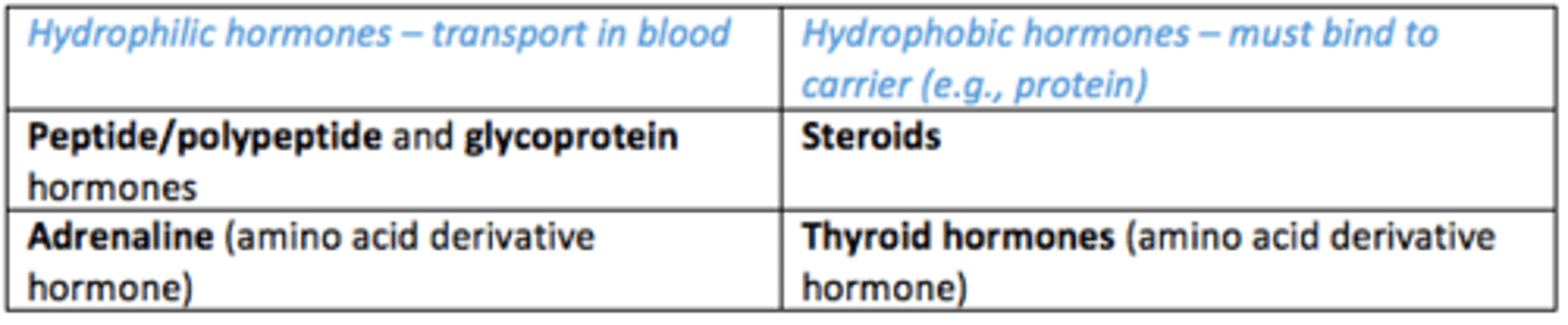 <p>Hydrophobic _</p>