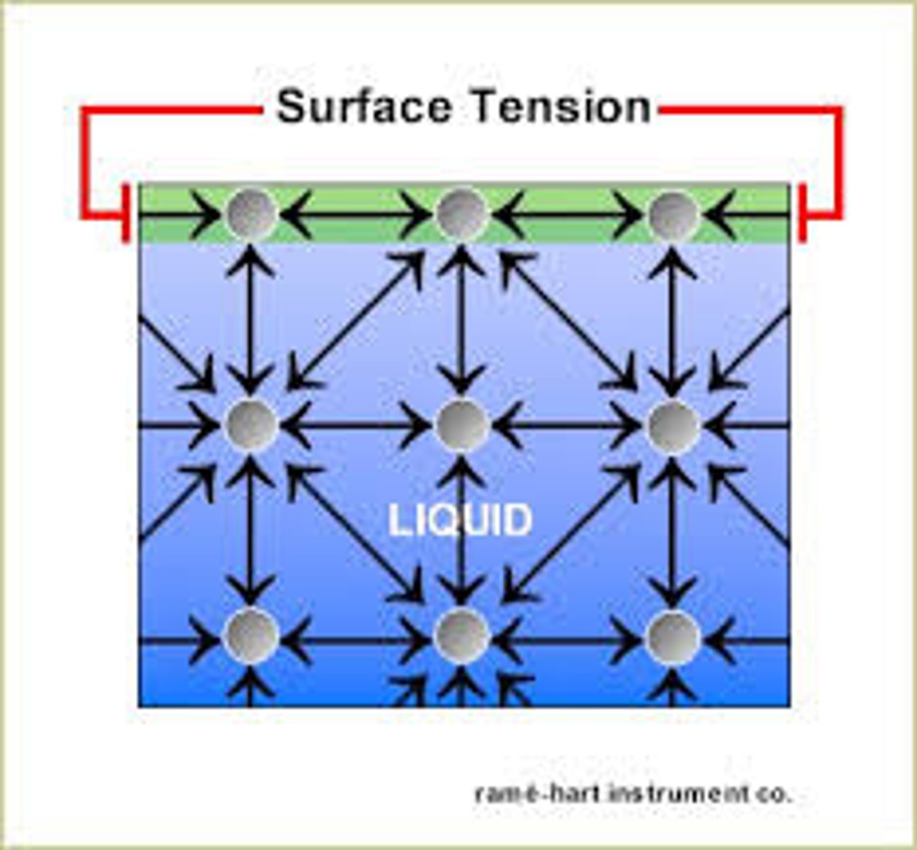 <p>measure of how difficult it is to stretch or break the surface of a liquid, water's surface tension is based on weak strength of the hydrogen bonds</p>
