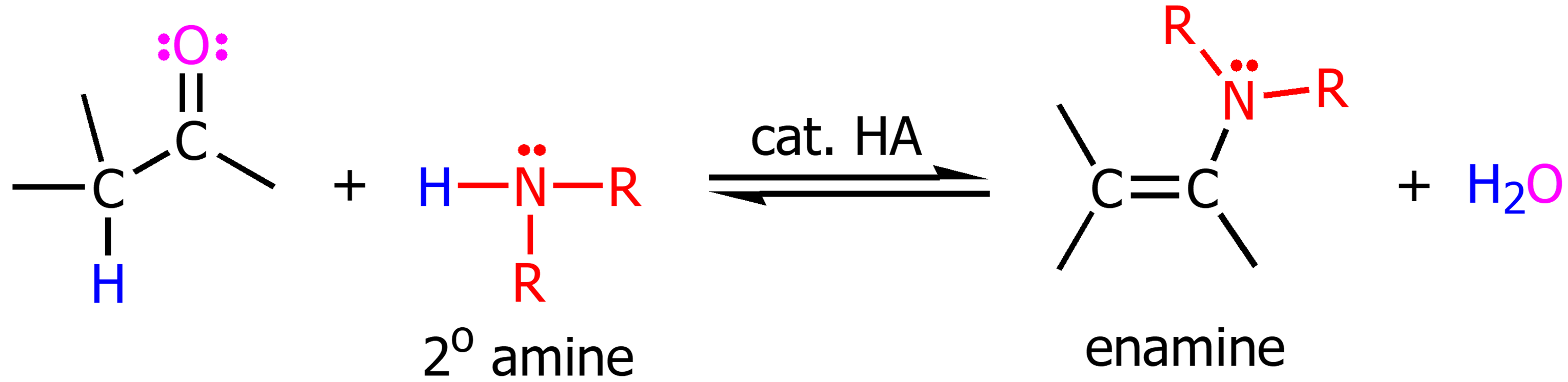 <p>When secondary amines are in the presence of aldehydes/ketones with catalytic acid it will form an enamine and water. Almost identical to imine formation. </p>