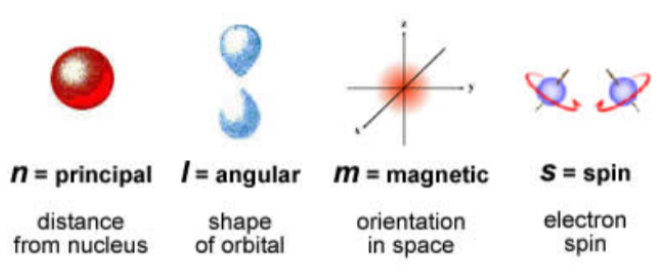<ul><li><p>n - Principal (distance from nucleus/ energy level)</p></li><li><p>l - Angular (Shape of orbital s,p,d,f)</p></li><li><p>M - Magnetic (Orientation in space/ number of orbitals available_)</p></li><li><p>s - spin Which direction each electron can spin</p></li></ul>