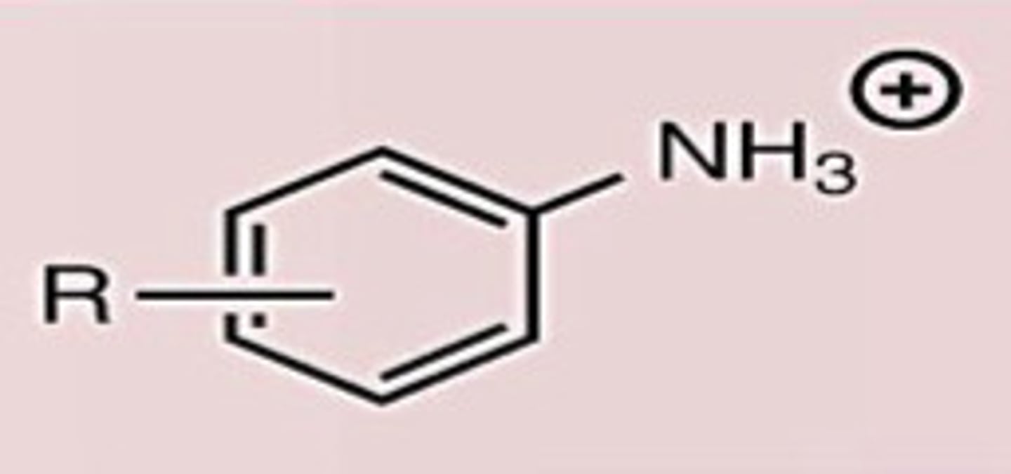 <p>Conj. Acid</p>
